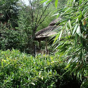 Bambu shelter above flamigo exhibit