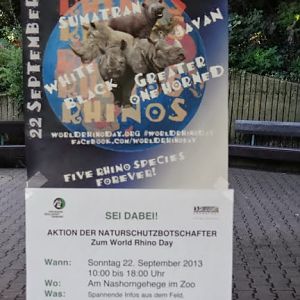 World Rhino Day :)