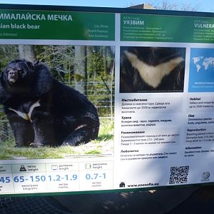 Asian black bear sign 15.9.13