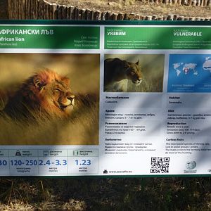 African lion sign 15.9.13
