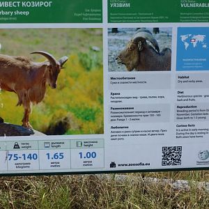 Barbary sheep sign 15.9.13