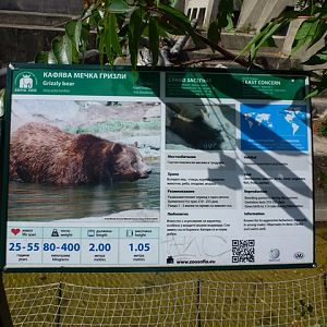 Grizzly bear sign 15.9.13