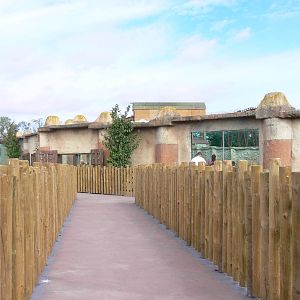 Lion viewing at Flamingo Land, 21/09/13