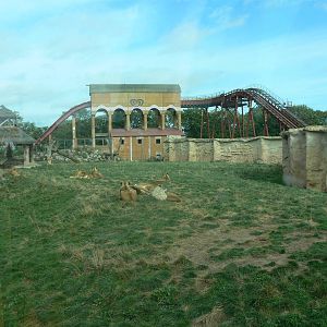 African Lion exhibit at Flamingo Land, 21/09/13