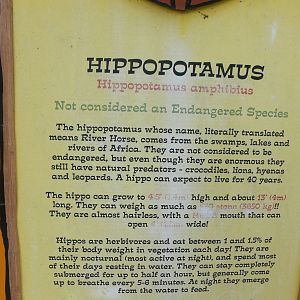 Signage Example at Flamingo Land, 21/09/13