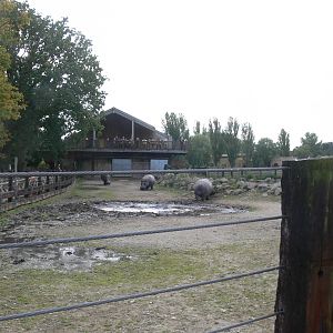 Hippo exhibit at Flamingo Land, 21/09/13