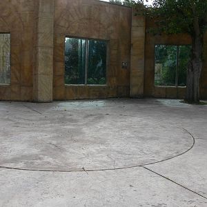 Tiger viewing at Flamingo Land, 21/09/13