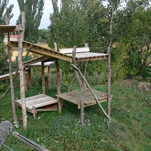 Tiger exhibit at Flamingo Land, 21/09/13