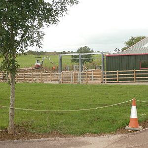 Elephant House exterior