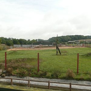 Elephant complex