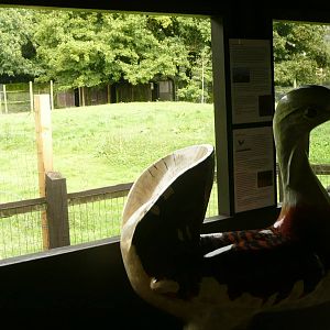 Great Bustard paddock and viewing shelter