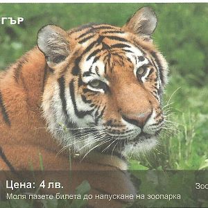 Sofia Zoo Ticket 15.9.13