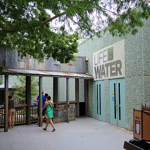 Wildlife Trek - Life in the Water