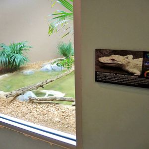 Wildlife Trek - Life in the Water