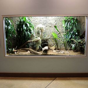 Wildlife Trek - Life in the Water