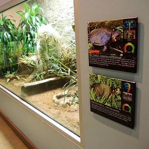 Wildlife Trek - Life in the Water