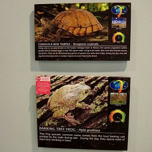 Wildlife Trek - Life in the Water