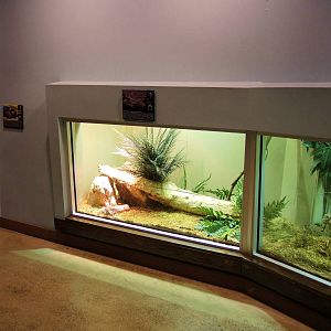 Wildlife Trek - Life in the Water