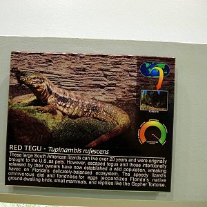 Wildlife Trek - Life in the Water