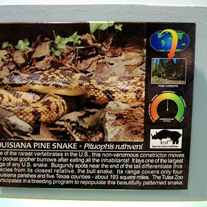 Wildlife Trek - Life in the Water