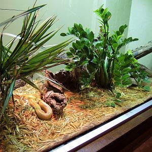 Wildlife Trek - Life in the Water