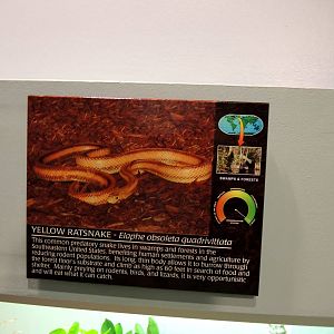 Wildlife Trek - Life in the Water