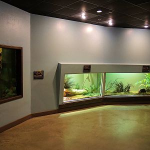 Wildlife Trek - Life in the Water