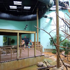 Wildlife Trek - Life in the Water