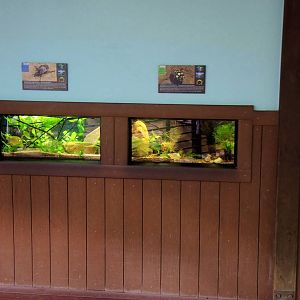 Wildlife Trek - Life in the Water