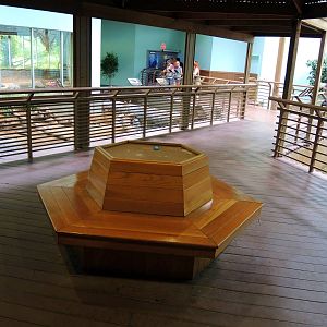 Wildlife Trek - Life in the Water