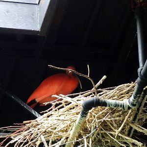 Wildlife Trek - Life in the Water