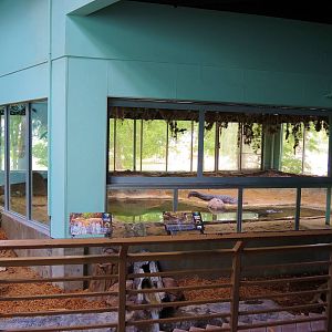 Wildlife Trek - Life in the Water