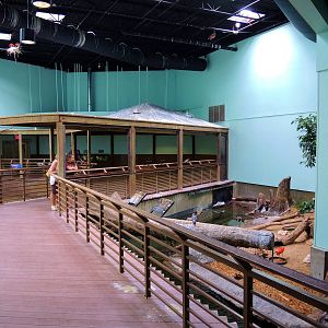 Wildlife Trek - Life in the Water