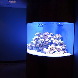 Wildlife Trek - Life in the Water