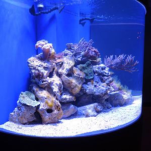 Wildlife Trek - Life in the Water