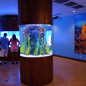 Wildlife Trek - Life in the Water