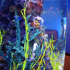 Wildlife Trek - Life in the Water