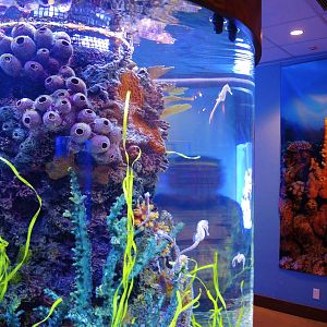 Wildlife Trek - Life in the Water