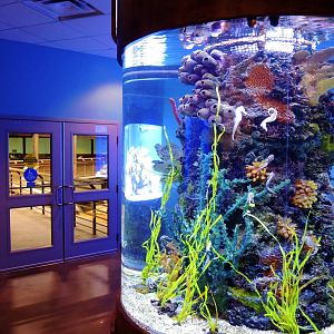 Wildlife Trek - Life in the Water