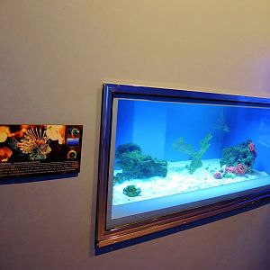 Wildlife Trek - Life in the Water