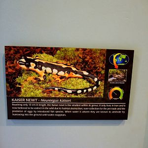 Wildlife Trek - Life in the Water