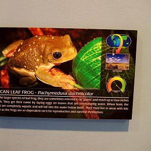 Wildlife Trek - Life in the Water