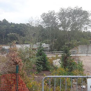 Under Construction - Polar Bear Exhibit