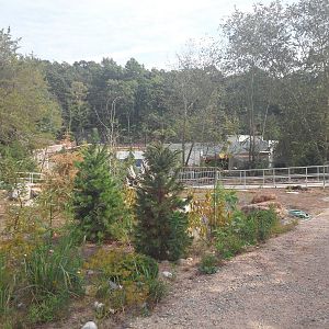 Under Construction - Polar Bear Exhibit