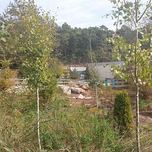 Under Construction - Polar Bear Exhibit