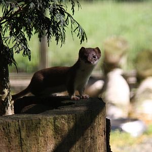 2010: Wildpark Leipzig
