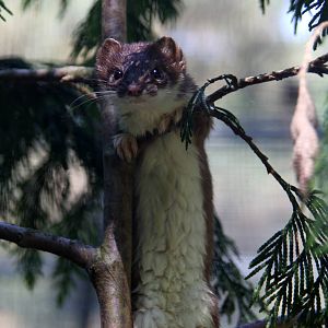 2010: Wildpark Leipzig