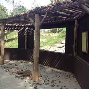 New View into updated red wolf exhibit