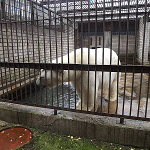 Tallinn zoo, Estonia
