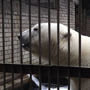 Tallinn zoo, Estonia